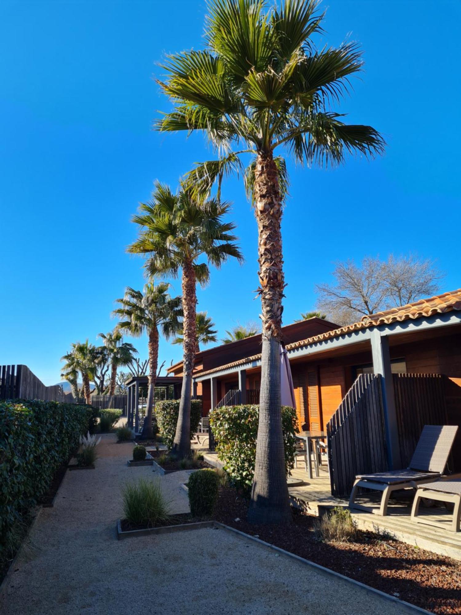Residence Saint Pierre Grimaud Bagian luar foto